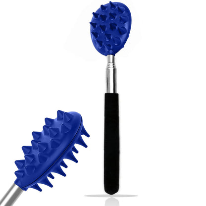 Gratte-dos cactus bleu